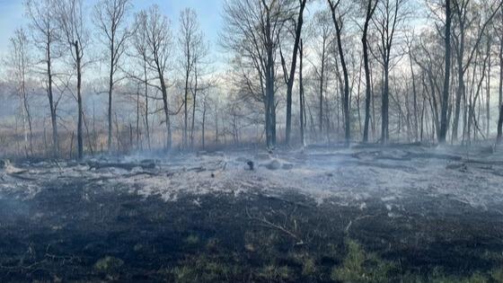 80-Acre Wildfire In Juneau County Evacuates Homes