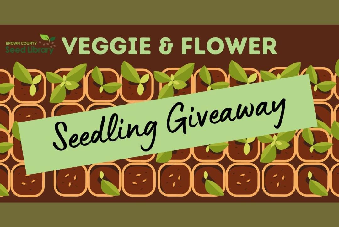 Veggie & Flower Seedling Giveaway