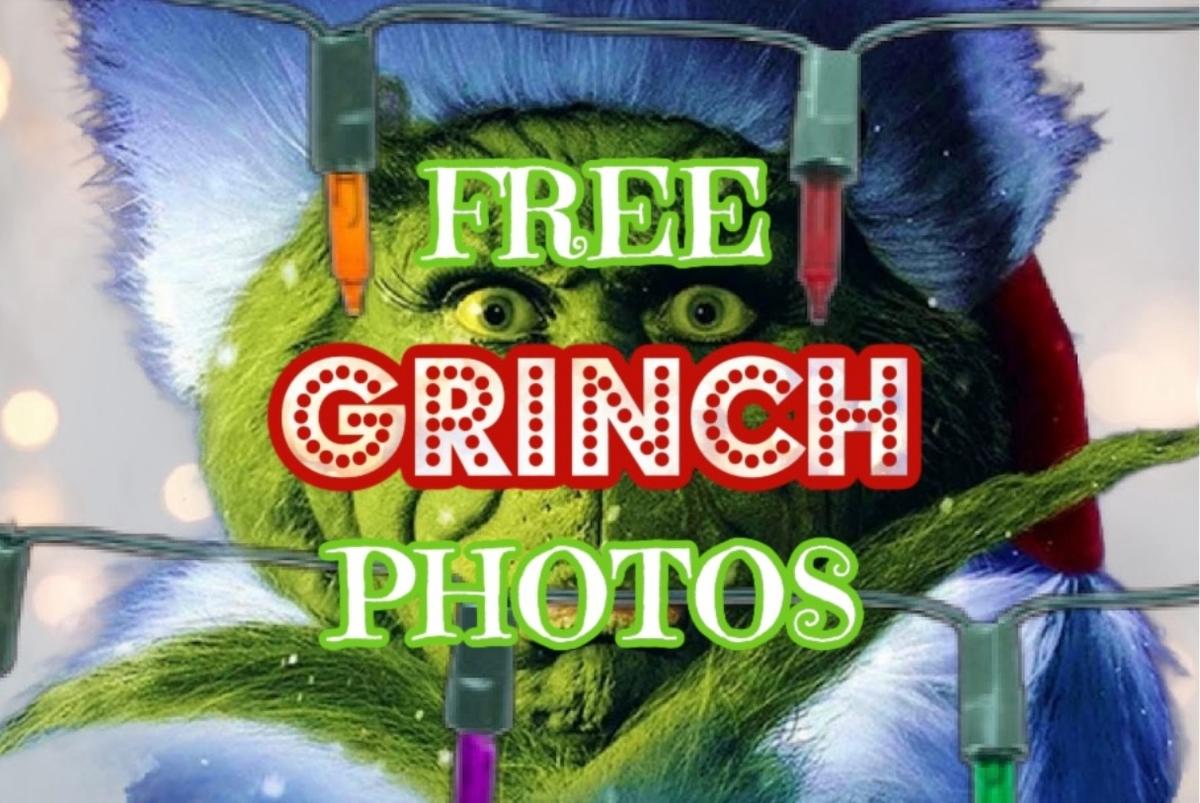 Meet the Grinch!