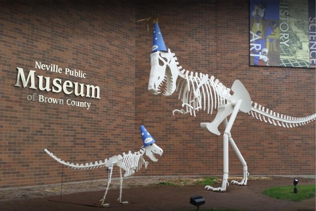 A Night at the Museum