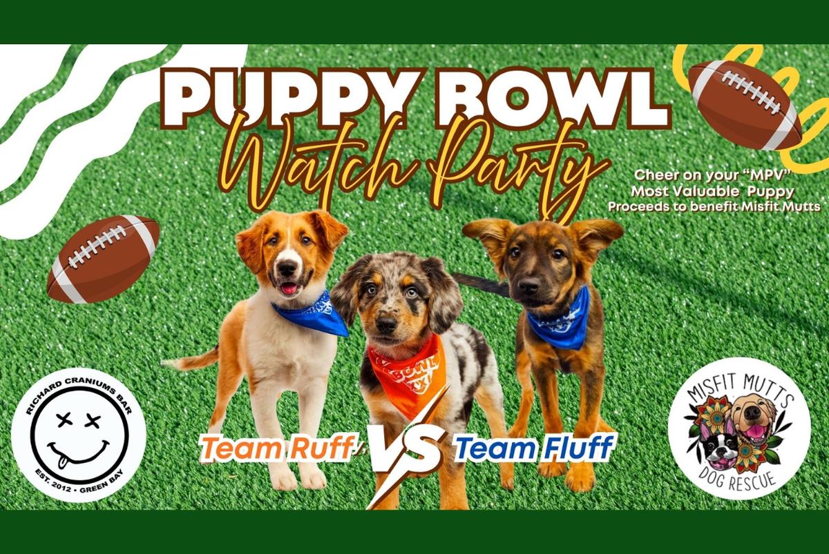 Puppy Bowl Watch Party and Fundraiser