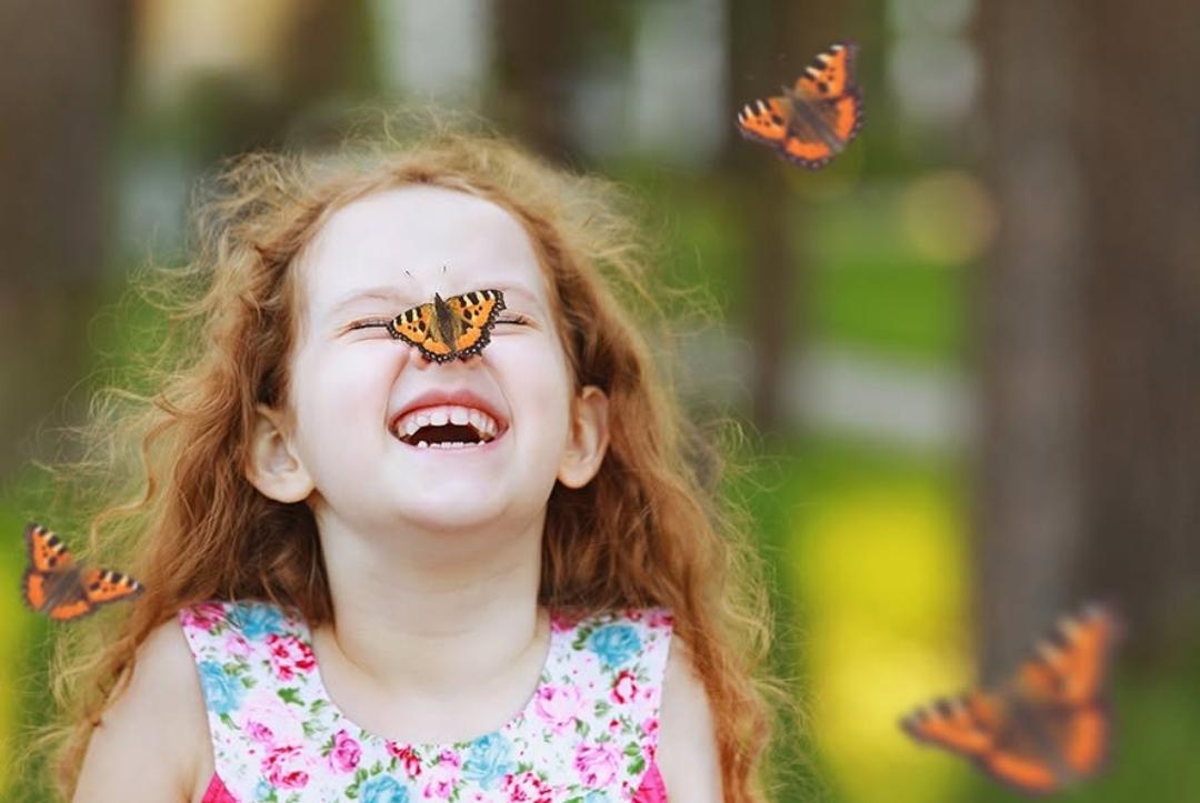 16th Annual Fox Cities Butterfly Festival